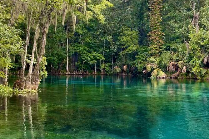 Silver Springs: Clear Kayaking Wildlife Tour - Authentic Experiences & Traveler Feedback