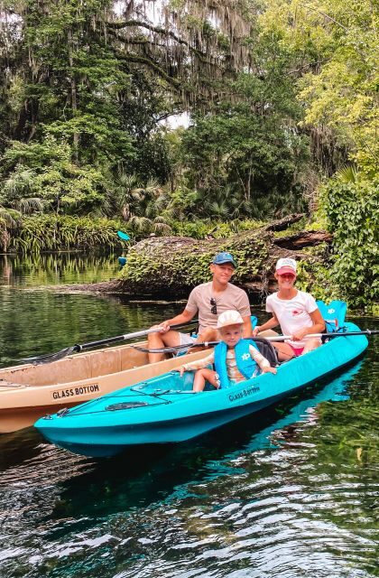 Silver Springs: Glass Bottom Kayak and Wildlife Tour - An In-Depth Look at the Experience