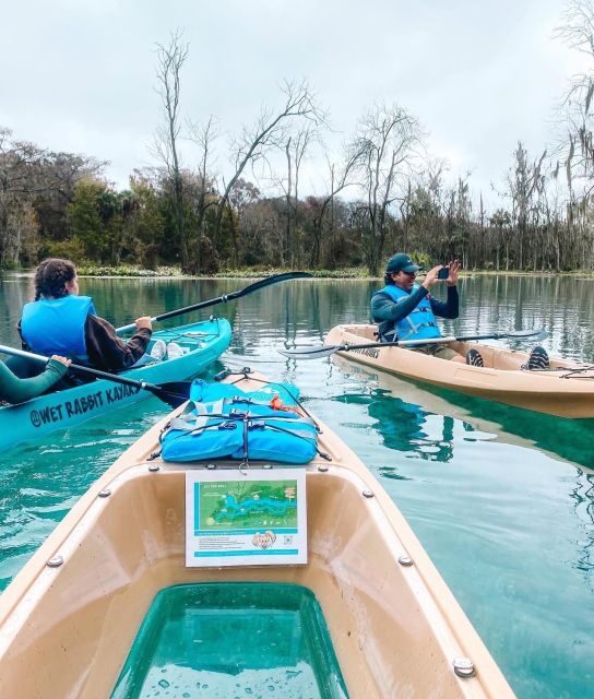 Silver Springs: Glass Bottom Kayak and Wildlife Tour - Authentic Perspectives from Reviews
