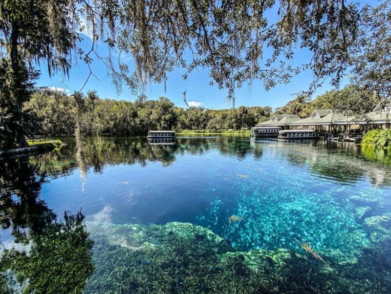 Silver Springs: Glass Bottom Kayak and Wildlife Tour - The Sum Up: Is This Tour Right for You?