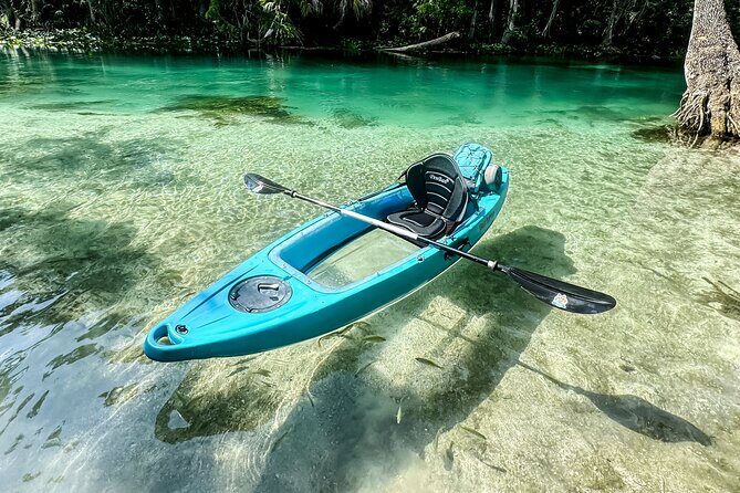 Silver Springs - Glass Bottom Kayak Rental - Introduction: An Authentic Florida Water Adventure