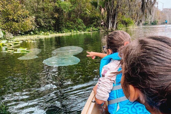 Silver Springs - Glass Bottom Kayak Rental - Authentic Insights from Reviewers