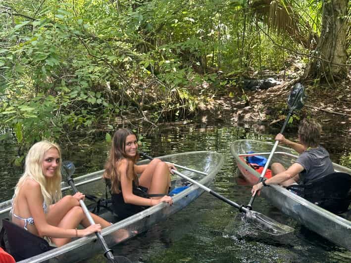 Silver Springs: Guided Clear Kayak or Paddleboard Gator Tour - Key Points