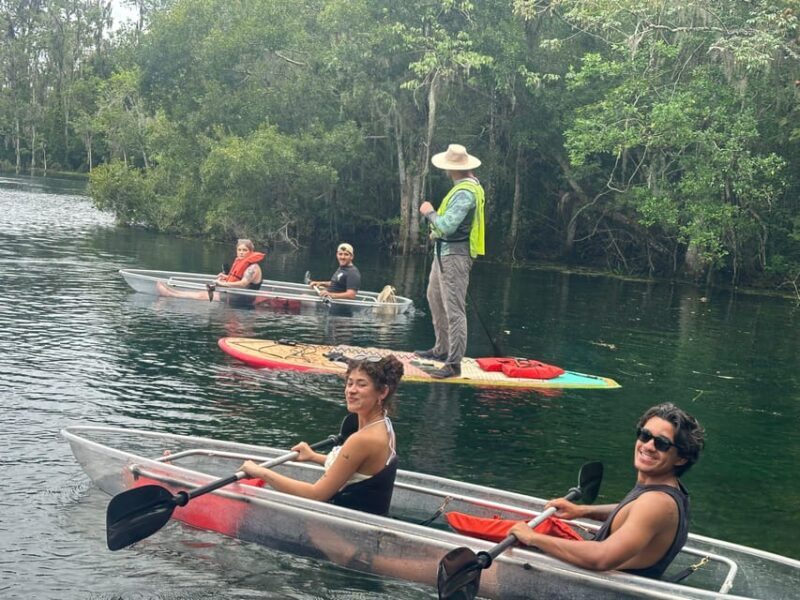 Silver Springs: Guided Clear Kayak or Paddleboard Gator Tour - What the Reviews Say