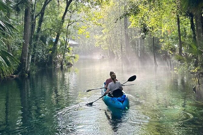 Silver Springs Kayak Rental - The Best Florida Adventure - What to Expect from Your Experience