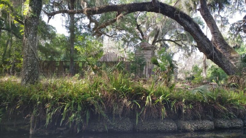 Silver Springs Manatee Kayaking Tour - What Real Travelers Say