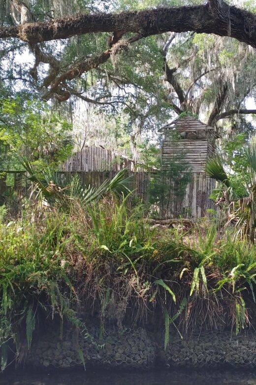 Silver Springs Manatee Kayaking Tour - Practical Tips for Your Trip