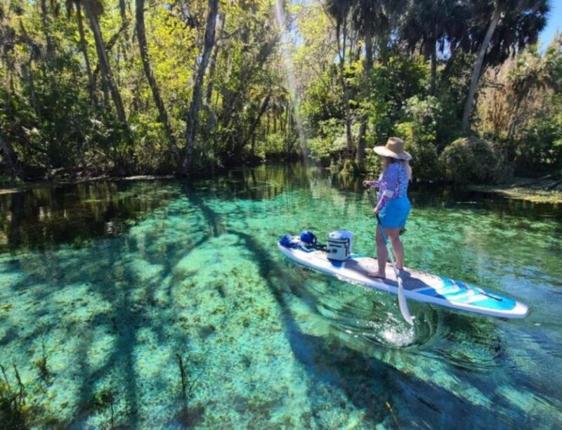 Silver Springs: Manatees and Monkeys Clear Kayak Guided Tour - What You Can Expect During the Tour