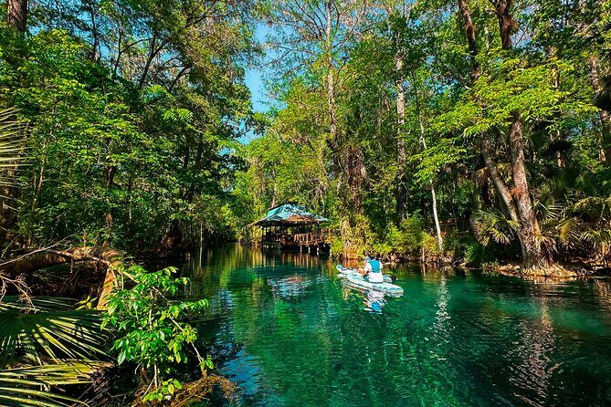 Silver Springs Paddle Adventure - Discovering Silver Springs: What Youll See and Experience