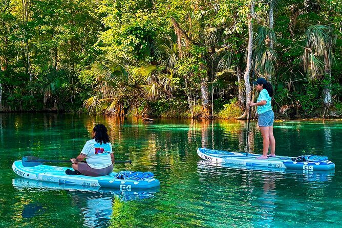 Silver Springs Paddle Adventure - Who Should Consider This Tour?