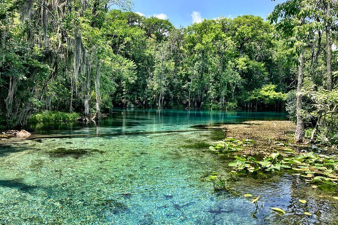 Silver Springs Premium Florida Wildlife Experience! - Practical Considerations