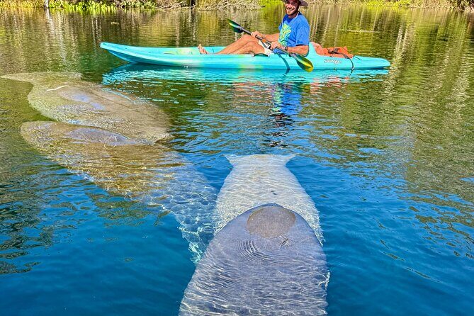 Silver Springs Premium Florida Wildlife Experience! - Who Would Love This Tour?