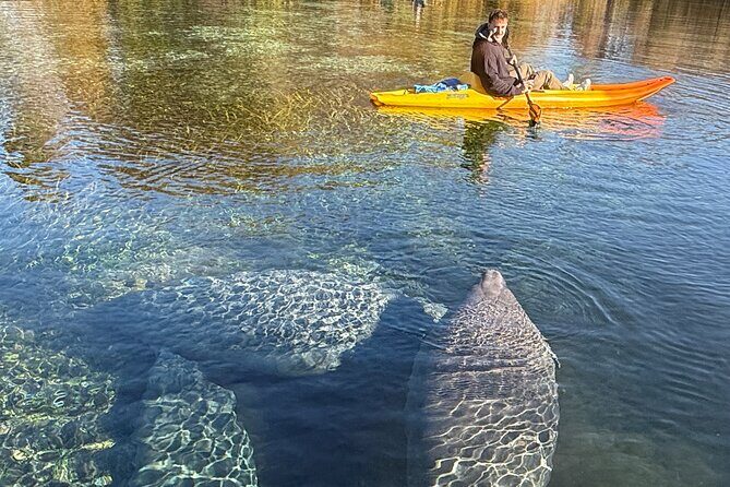 Silver Springs Premium Florida Wildlife Experience! - FAQs