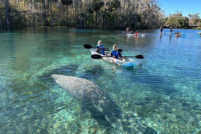 Silver Springs Self Guided Clear Kayak Rentals - Exploring Silver Springs Self-Guided Clear Kayak Rentals: An Honest Look