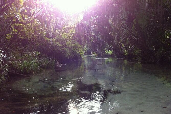 Silver Springs Self Guided Clear Kayak Rentals - Equipment and Logistics: What You Need to Know