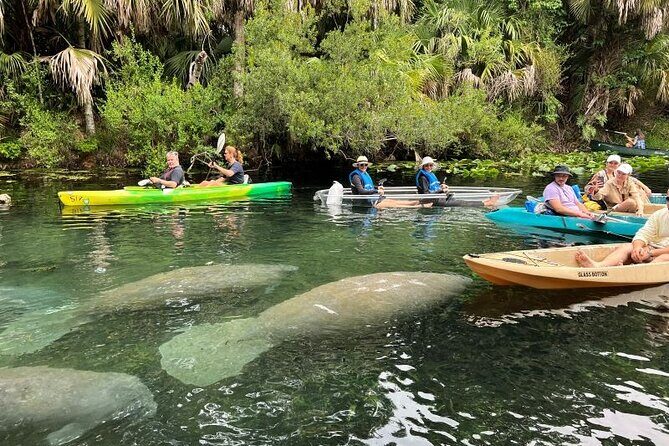 Silver Springs Self Guided Clear Kayak Rentals - Pricing and Value