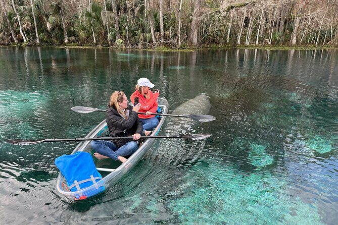 Silver Springs Self Guided Clear Kayak Rentals - What Past Visitors Say
