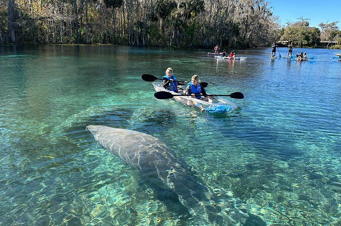 Silver Springs Self Guided Clear Kayak Rentals - The Sum Up: Who Is This Tour Best For?