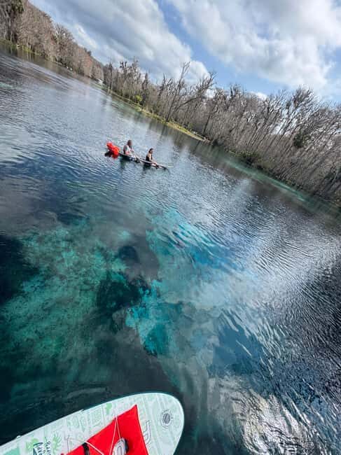 Silver Springs: Silver River Guided Kayak Tour - Final Thoughts: Is It Worth It?