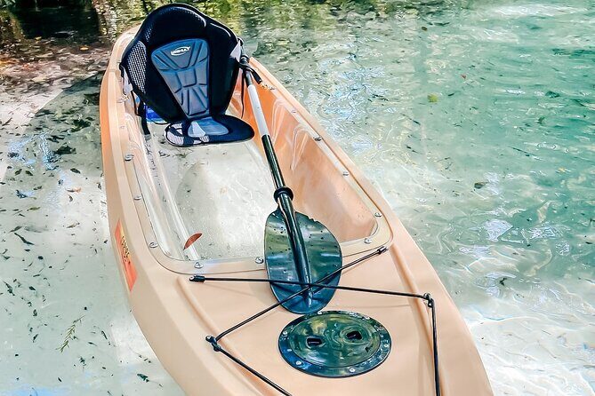 Silver Springs Wildlife Tour - Glass Bottom Kayaks - Final Verdict