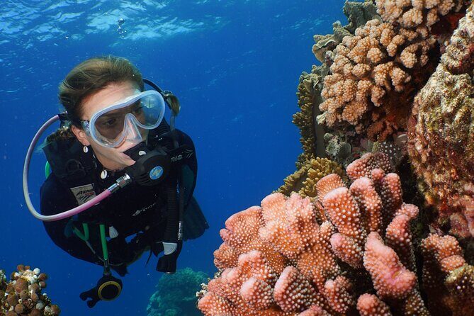 Silversonic Outer Great Barrier Reef Cruise from Port Douglas - Final Thoughts