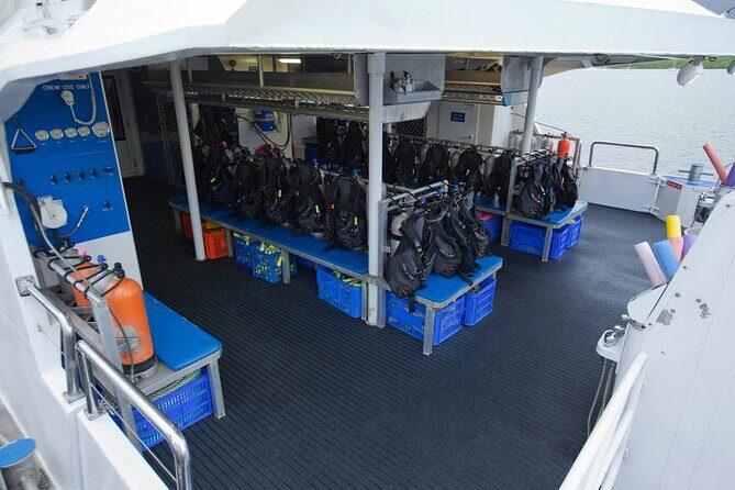 Silverswift Dive and Snorkel Great Barrier Reef Cruise - Final Thoughts