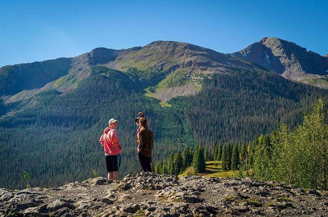 Silverton Half Day Jeep Tour - What Travelers Are Saying