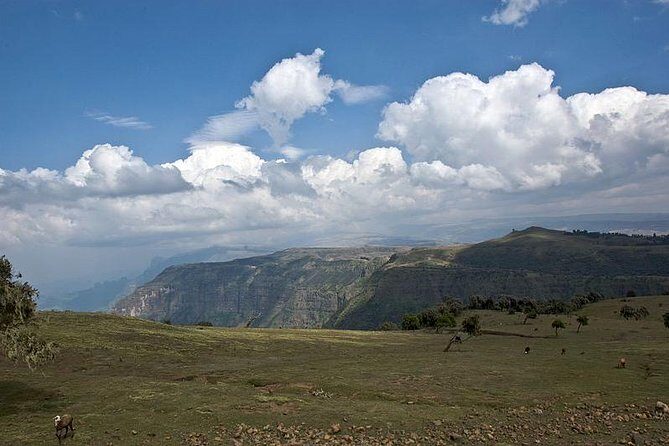 Simien Mountains 4 Days - Final Thoughts