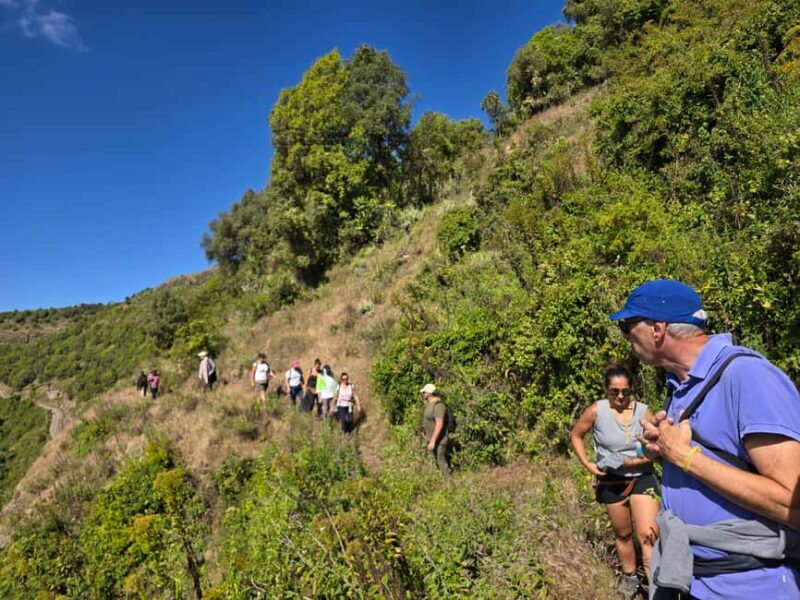 Simien Mountains amazing 2 Days Treking & Wildlife Spoting - Final Thoughts