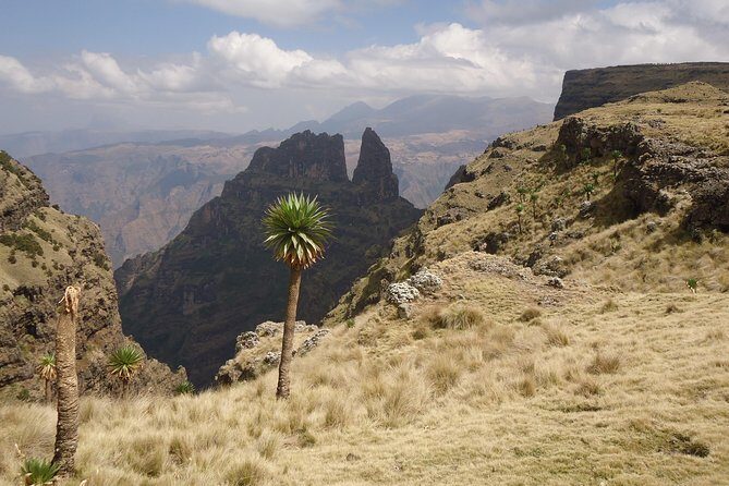 Simien Mountains National Park 7 Day Trek - Day 4: Crossing Breathtaking Passes and Wildlife Spotting