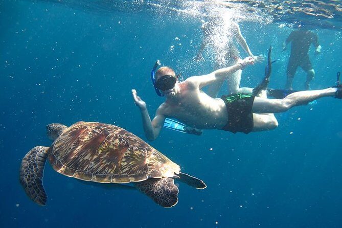 Similan Islands Day Trip by Speedboat From Phuket - An Overview of the Experience