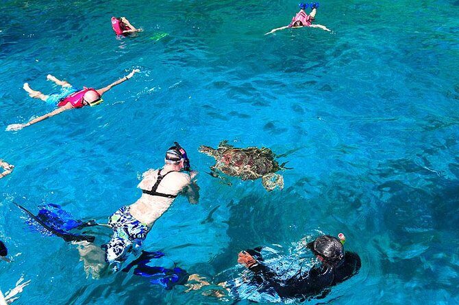Similan Islands One Day Tour From Khao Lak - Transportation and Timing