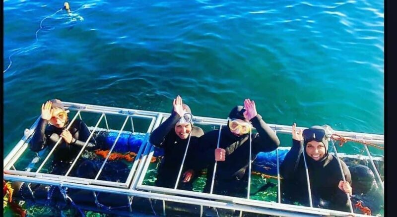 Simon's Town: Half Day Shark Cage Diving Experience - Final Thoughts