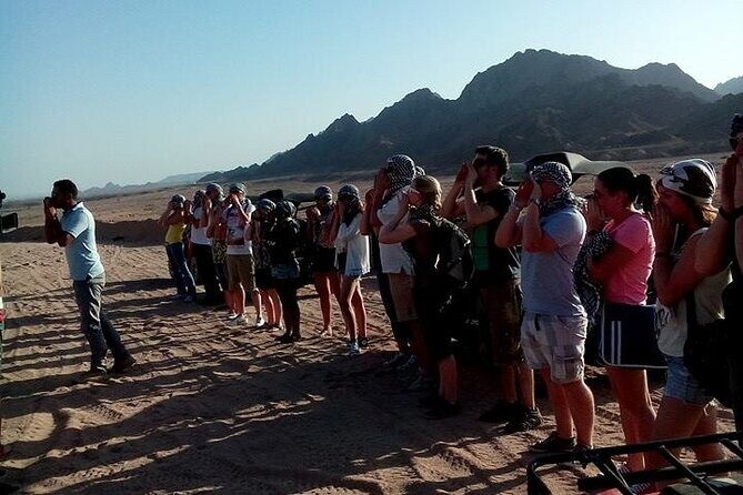 Sinai Desert Adventure Quad Bikes/ATV & Family Car Buggy - Who Should Consider This Tour?