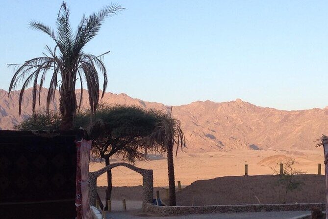 Sinai Desert Adventure Quad Bikes/ATV & Family Car Buggy - FAQ