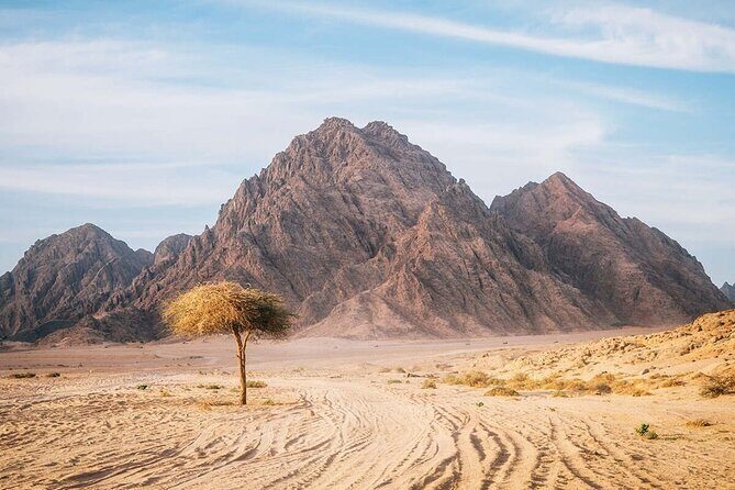Sinai Desert Private Adventure Car Buggy From Sharm El Sheikh - What’s Included and What’s Not