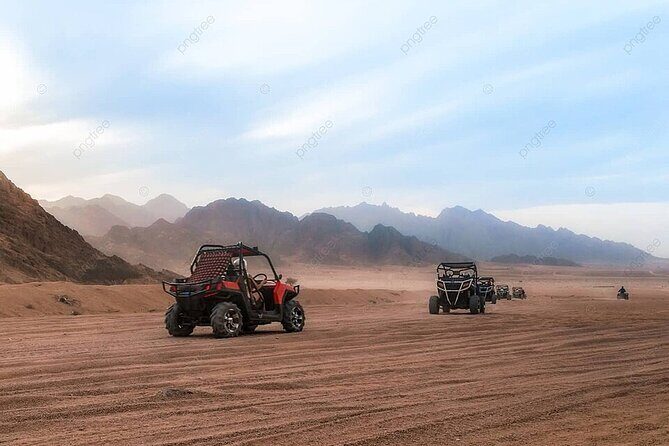 Sinai Desert Private Adventure Car Buggy From Sharm El Sheikh - FAQ