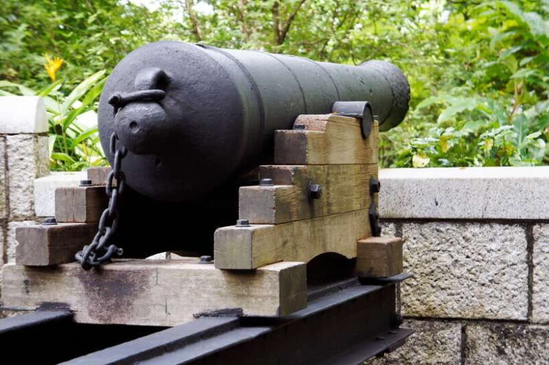 Singapore 2.5-Hour Walking Tour: Graves, Guns & Battles - Authentic Stories from Travelers
