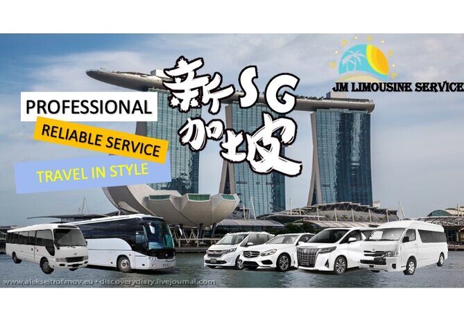 Singapore Airport Private Transfer Service: 4 Seater Car to 45 Seater Bus - Overview of the Service