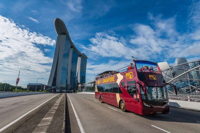 Singapore: Big Bus Hop-On Hop-Off Tour by Open-Top Bus - Authentic Traveler Feedback