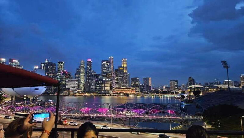 Singapore: Big Bus Night Tour by Open-Top Bus & Live Guide - Final Thoughts: Who Will Love This Tour?