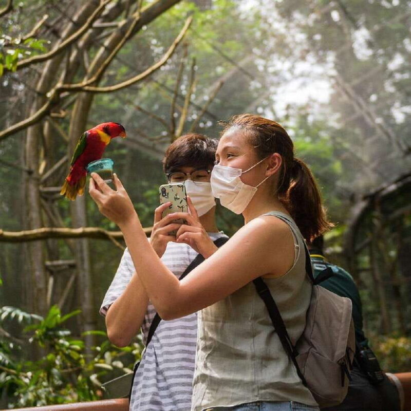 Singapore: Bird Paradise Entry Ticket - An In-Depth Look at Bird Paradise: What You Can Expect