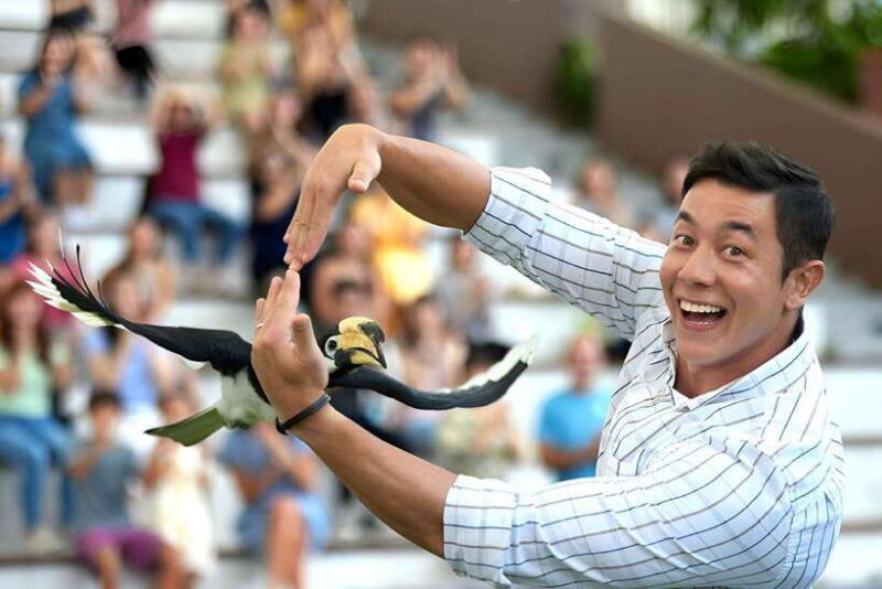Singapore: Bird Paradise Entry Ticket - The Verdict: Is Bird Paradise Worth It?