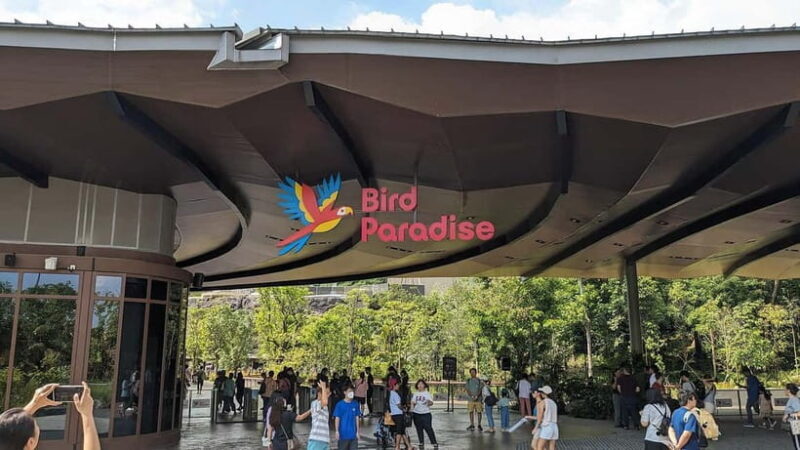 Singapore: Bird Paradise - An In-Depth Look at Singapore’s Bird Paradise