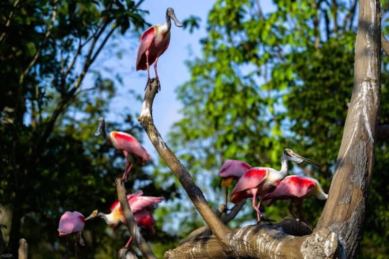 Singapore: Bird Paradise - The Sum Up