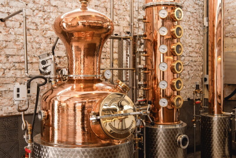 Singapore: Brass Lion Guided Gin Tasting Experience Ticket - A Practical Deep Dive into the Brass Lion Gin Tasting