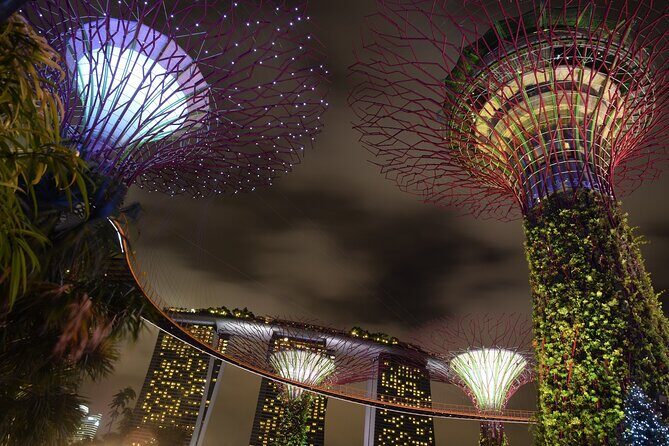 Singapore by Night Top Senic Sightseeing Private Tour - FAQ