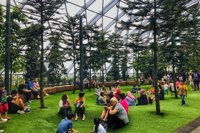 Singapore Changi Jewel Highlights Walking Tour - Who Should Consider This Tour?