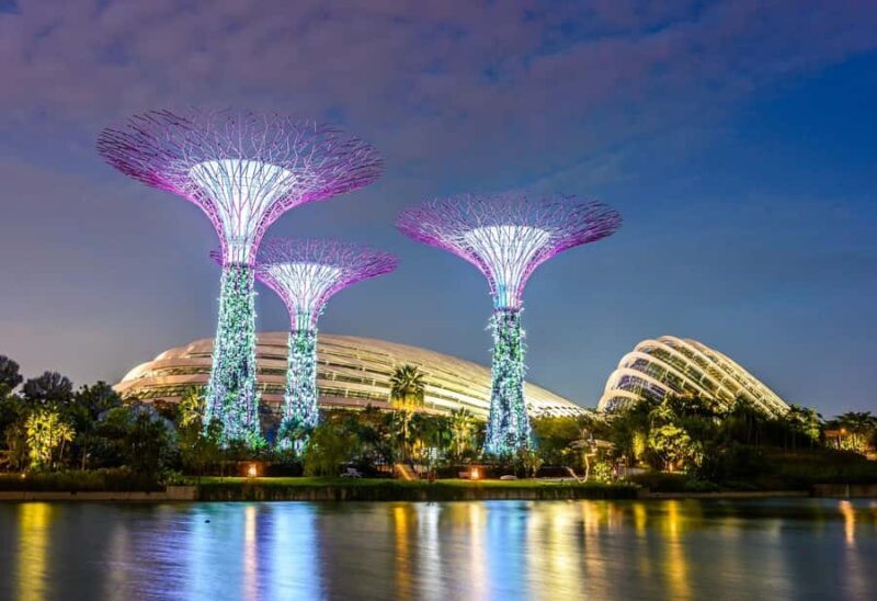 Singapore: Disney Garden of Wonder at Floral Fantasy - A Visual Feast