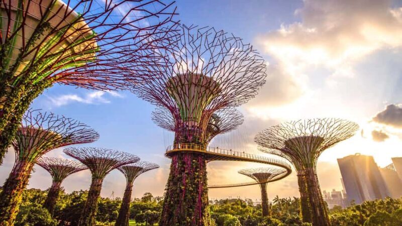 Singapore: Disney Garden of Wonder at Floral Fantasy - The View from the Supertree Observatory